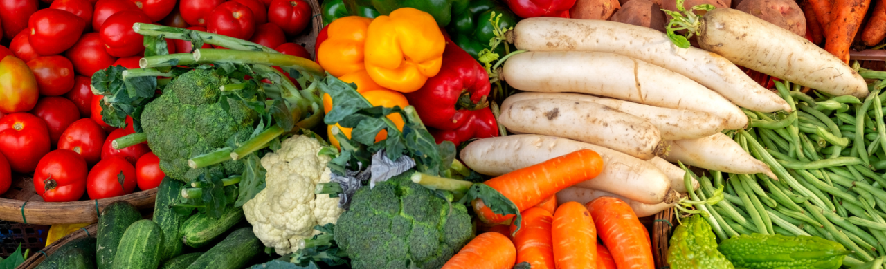 Why Are Vegetables Good For You Absolute Body Solutions